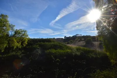 DSC_7357 (Large).JPG